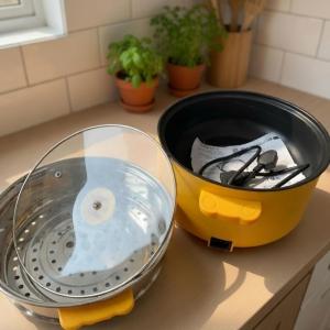 Essential 2.5L Vibrant Electric Hot Pot & Steamer with Stainless Steel Tier