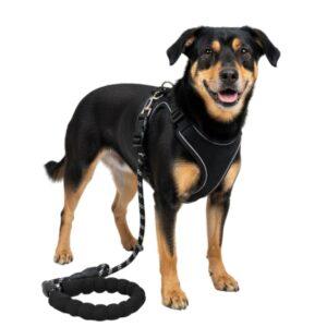 Reflective No-Pull Mesh Dog Harness and Leash Set – Breathable Step-In Vest with Ergonomic Foam Padded Rope Leash for Small Dogs (Black)
