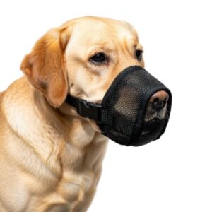 Professional Breathable Mesh Dog Muzzle – Adjustable Soft Safety Mouth Cover for All Breeds (S, M, L, XL, XXL) – Anti-Biting, Barking, and Chewing Guard (Black)