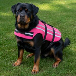 High-Visibility Reflective Pet Life Jacket – Protective Water Safety Vest with Reinforced Rescue Handle and Adjustable Straps for Dogs